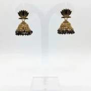 WhatsApp Image 2026-01-12 at 11.55.47 AM