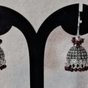 WhatsApp Image 2026-01-12 at 2.38.38 PM