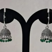 WhatsApp Image 2026-01-12 at 2.38.42 PM