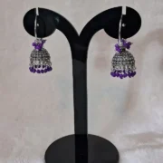 WhatsApp Image 2026-02-02 at 12.00.41 PM