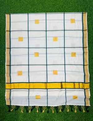 Wide checks with block print set saree